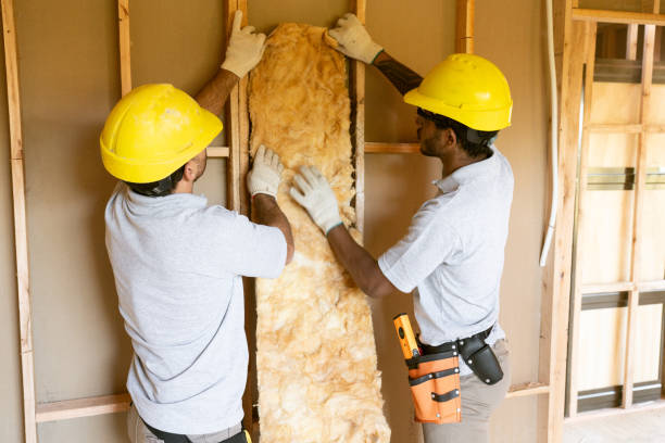 Best Attic Insulation Installation  in Bemiss, GA