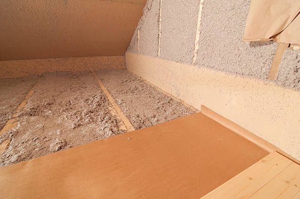 Best Insulation Inspection Services  in Bemiss, GA